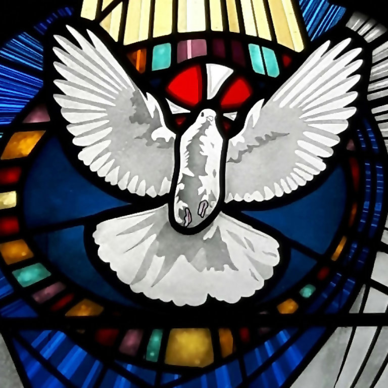 Profile picture of Daniel Burke