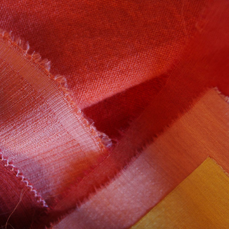 Profile picture of Susan Dye