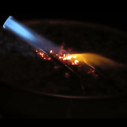 Profile picture of Shalini Austin