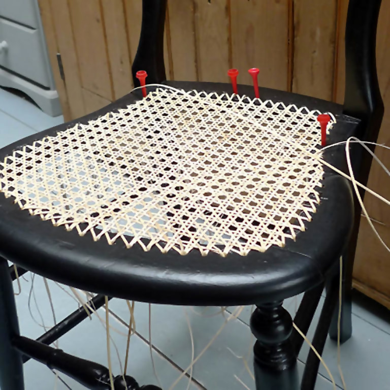 Profile picture of Virginia Ingr