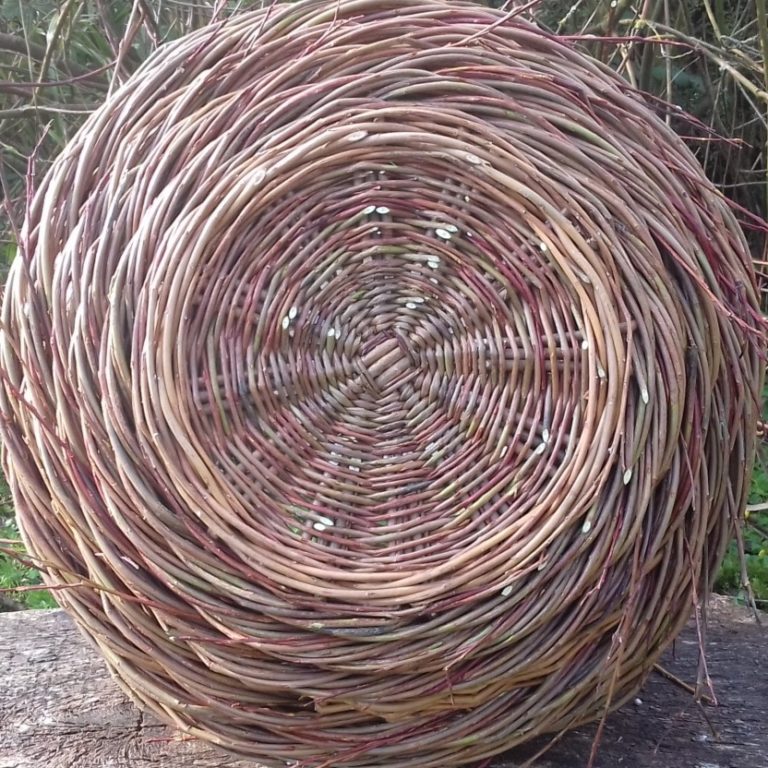 Profile picture of Anna Stickland