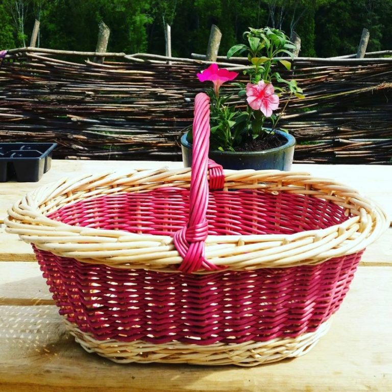 Profile picture of Helen Munday