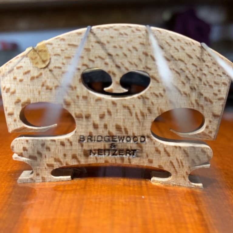 Profile picture of Gary Bridgewood