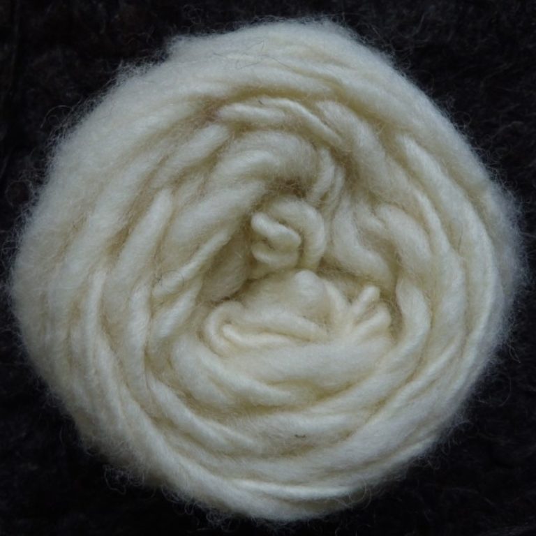 Profile picture of Sarah Butters