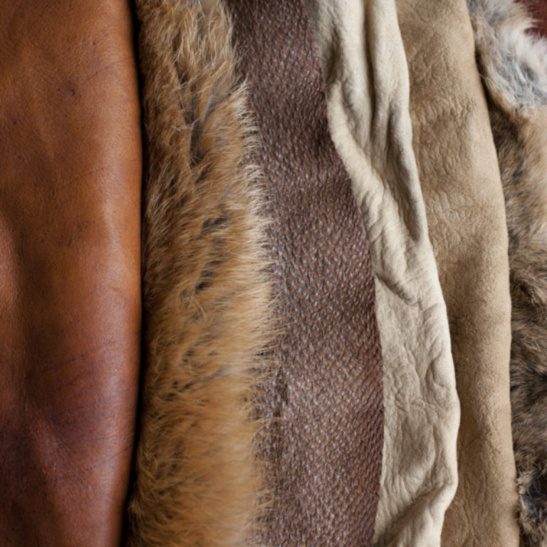 Profile picture of Jessie Watson Brown