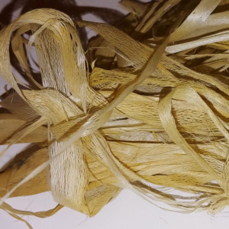 Profile picture of wil goodwin