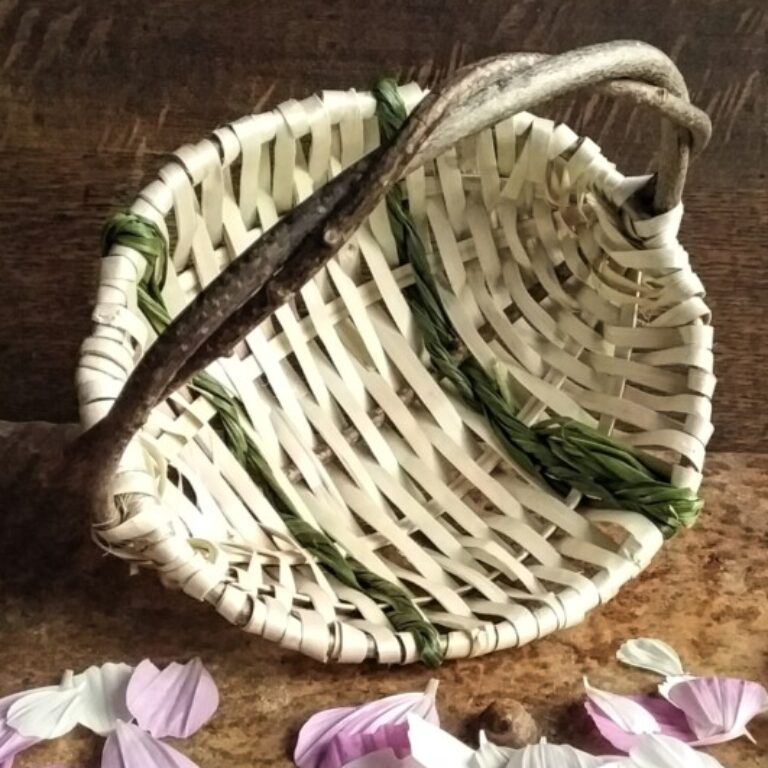 Profile picture of Suzanne Williams